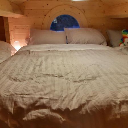 Springbank Cabin Insch Dış mekan fotoğraf