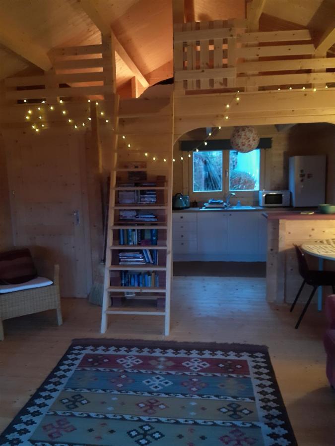 Springbank Cabin Insch Dış mekan fotoğraf